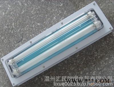 深圳防爆洁净荧光灯厂家批发  汇民防爆**  防爆洁净荧光灯多少钱 欢迎订购 18867738371图6