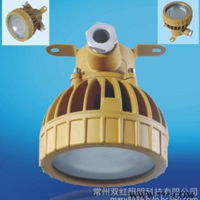 LED免维护防水防尘防腐节能灯 BRE8658防爆LED投光灯/防爆顶灯 led防爆灯