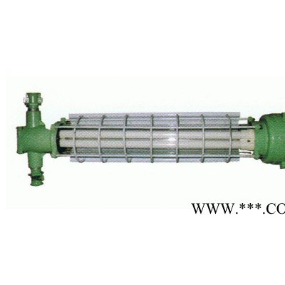 DGS20/127Y矿用防爆荧光灯
