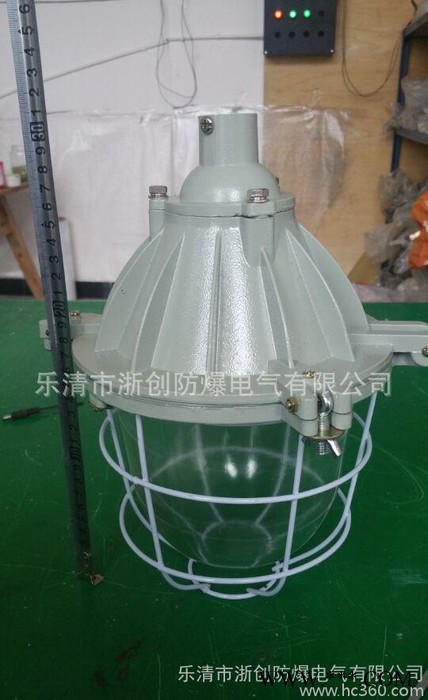 BAD隔爆型防爆灯200W大BCD防爆灯40W节能灯
