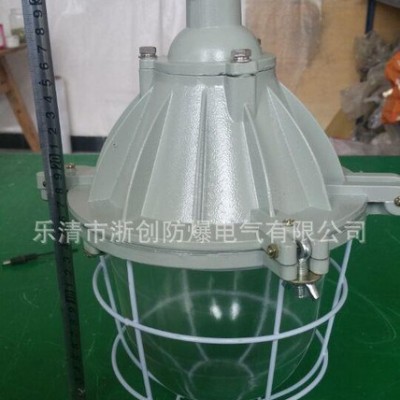 BAD隔爆型防爆灯200W大BCD防爆灯40W节能灯