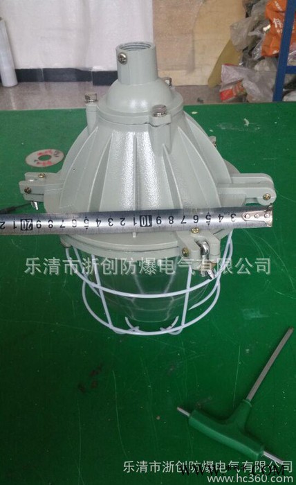 BAD隔爆型防爆灯200W大BCD防爆灯40W节能灯图3