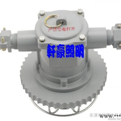 ** 防爆灯具 DGS/127L （A）12W矿用隔爆荧光灯LED巷道灯