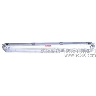 供应BYS系列防爆防腐全塑荧光灯防爆灯