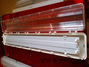 供应 防爆灯 SFY51系列防水防尘防腐全塑荧光灯图2