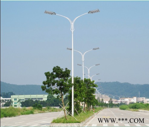 沧州福光节能灯具FGMZLD-120W路灯图2