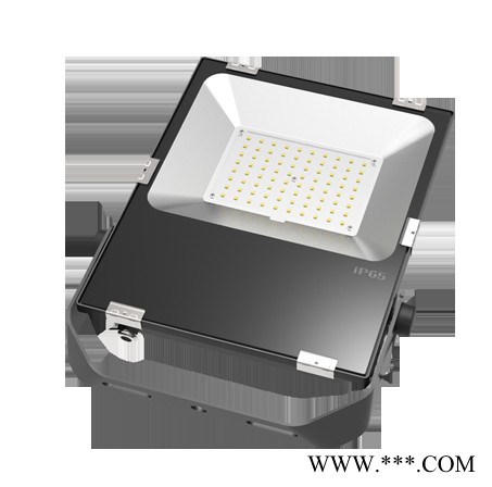 富利登FL-D500SW 工矿灯LED大功率工矿灯图3