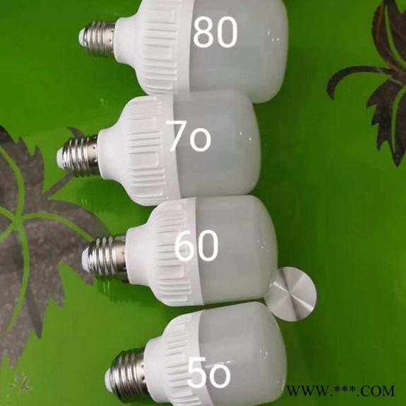 LED高富帅球泡灯   5-65瓦 LED节能灯  家用E27球泡大功率球泡灯图2