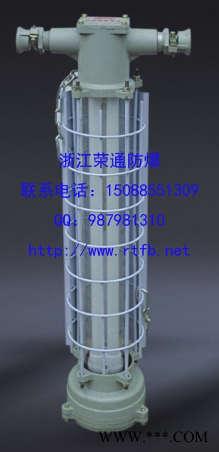 乐清**矿用防爆荧光灯 巷道灯DGS36/127Y