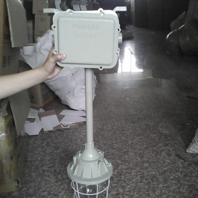 BAD（BCD)隔爆型防爆灯200小W40W节能灯