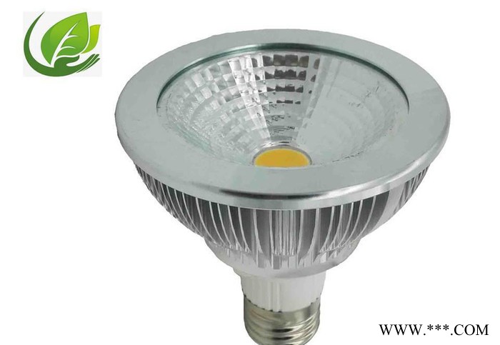 直销加工定制pa30led射灯节能灯室内照明灯cob射灯帕灯聚光灯图3