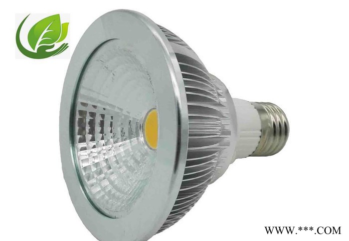 直销加工定制pa30led射灯节能灯室内照明灯cob射灯帕灯聚光灯图2