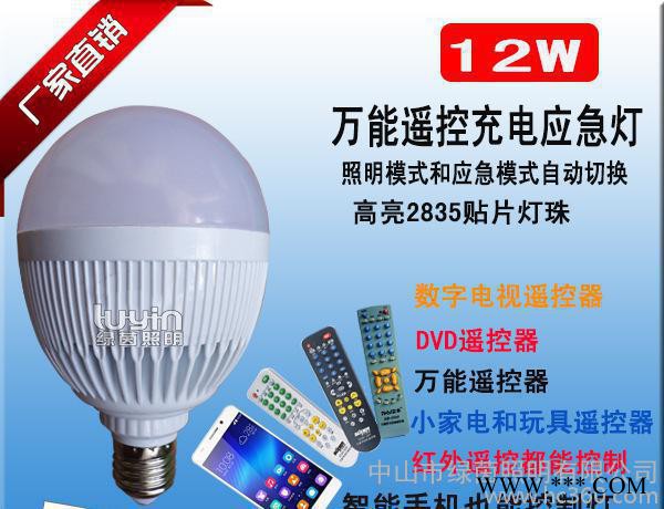 LED遥控灯 应急照明灯 led节能灯泡 新款江湖地摊产
