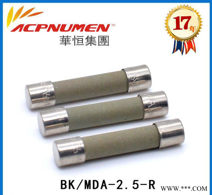 Bussmann BK/MDA-2.5-R 250V节能灯专
