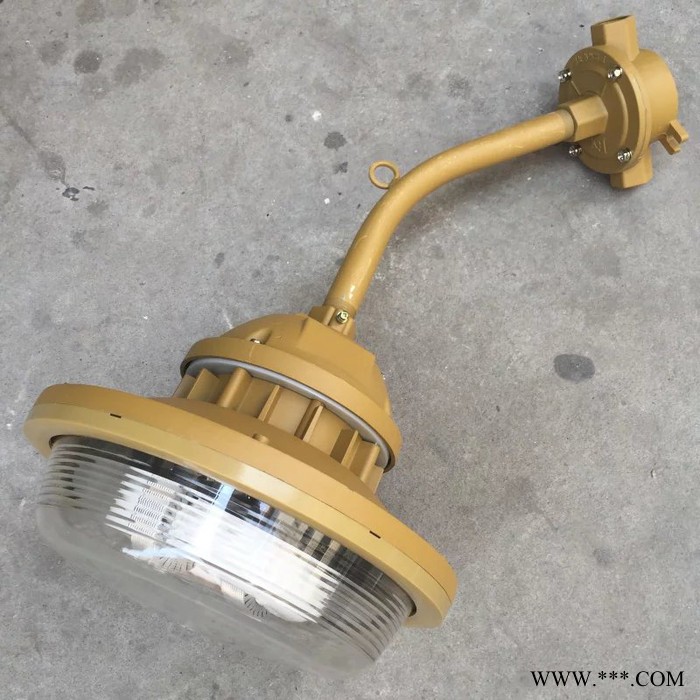 海东三防免维护节能灯HRD83H-YQL40D护栏立杆式药厂图2