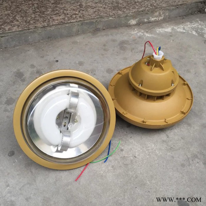 海东三防免维护节能灯HRD83H-YQL40D护栏立杆式药厂图7