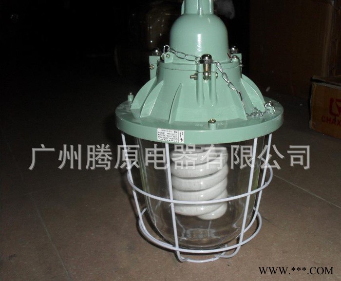 直销BCD250W系列隔爆型防爆灯 防爆节能灯100W/防爆