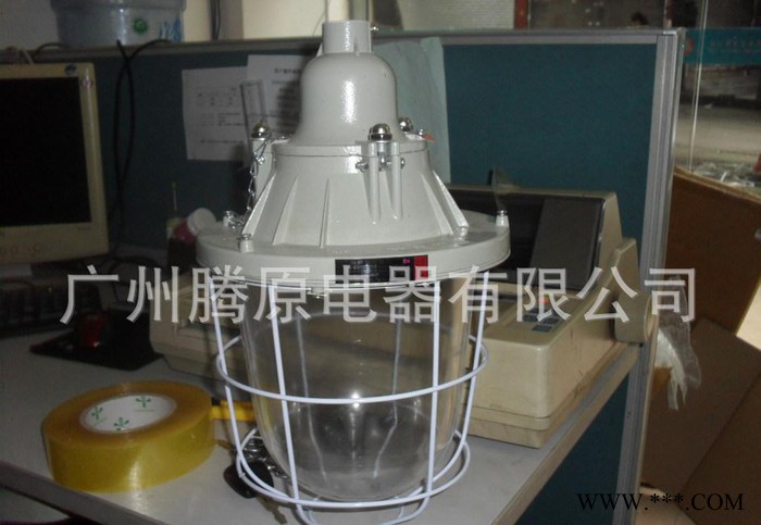 直销BCD250W系列隔爆型防爆灯 防爆节能灯100W/防爆图2