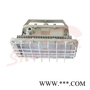 BED51系列防爆免维护节能灯（LED）  防爆灯具图2