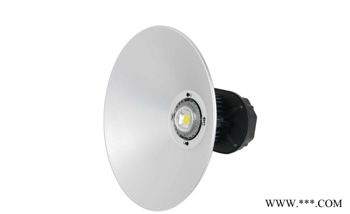 工矿灯 100W LED工矿灯 深圳LED工矿灯图1