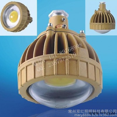LED防爆灯BRE8650 10W-25W防爆免维护节能灯
