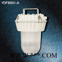 唐山工矿灯具批发 天龙工矿灯图2