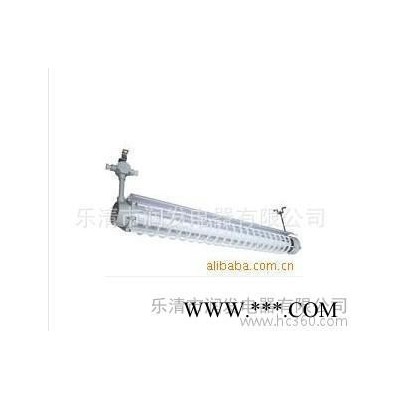 防爆荧光灯,双管防爆日光灯,双管日光灯,防爆日光灯,单管日光灯,
