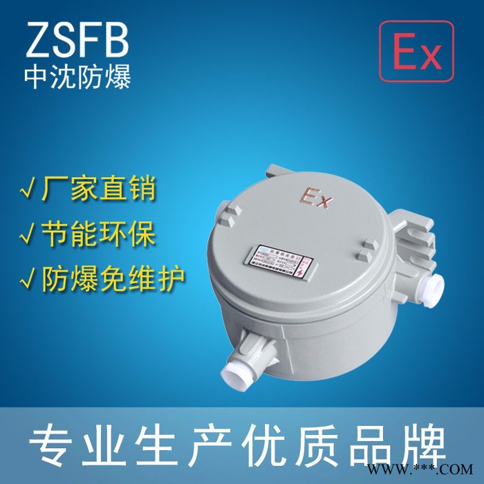 中沈防爆baz58 陕西那里有金属卤化灯镇流器baz58  西安那里有荧光灯镇流器  日光灯镇流器 钠灯防爆镇流器那里有图2