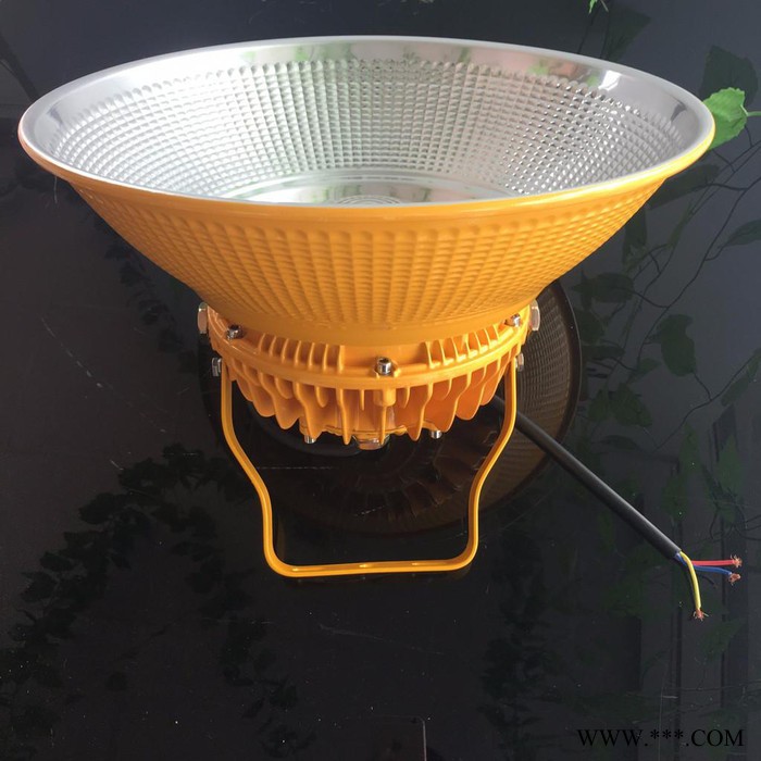 欧辉东道gcd8860G|20W山西煤矿防爆工矿灯30w江西铜矿防爆灯60w广西云南锡防爆工矿灯|质保3年**图3