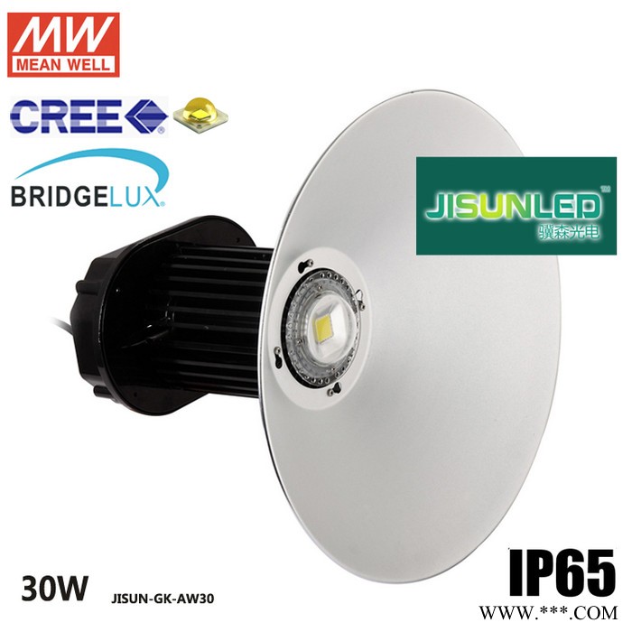 30W LED工矿灯 供应高亮度30WLED工矿灯 工矿厂房灯具 led工厂灯 天棚灯图1