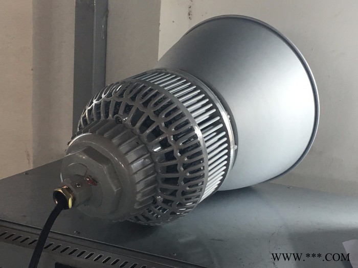 PHILIPS/飞利浦 深罩防爆工矿灯图4