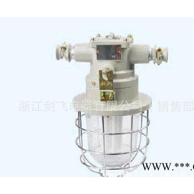 DGS-13-18W/127Y(A)矿用隔爆型节能灯