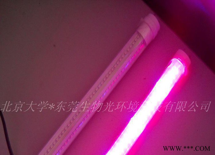 广州日光灯,直销日光灯,led日光灯,广州**18w的LED日光灯