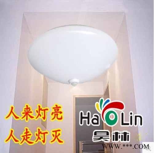LED吸顶灯节能灯简约天花灯人体感应灯阳台灯过道灯8W12W18W24W图2
