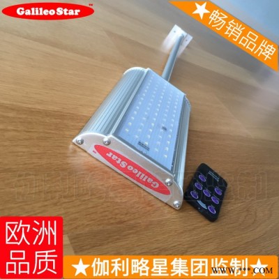 杀虫照明一体灯闪光警示灯日行灯日光灯墙头灯太阳能