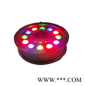 芷艺  Φ155(MM)   led水底灯图4