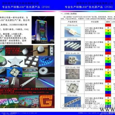 提供服务中天正兴www.led0755.comLED模组灯串点光源护栏管