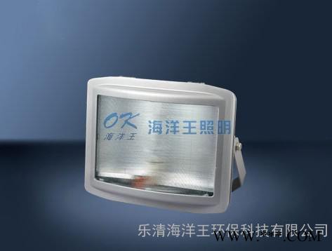 矿灯 海洋王NGC9720  海洋王防爆灯 海洋王灯具厂家