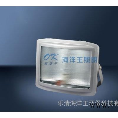 矿灯 海洋王NGC9720  海洋王防爆灯 海洋王灯具厂家