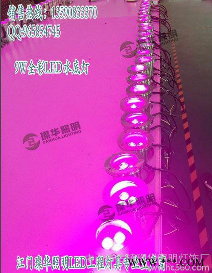 供应璨华照明SK-SDD-0119W全彩led水底灯图3