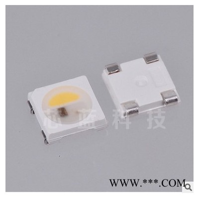 主打欧美 内置IC RGBW灯珠 5V幻彩跑马灯灯珠 订制方案 LED