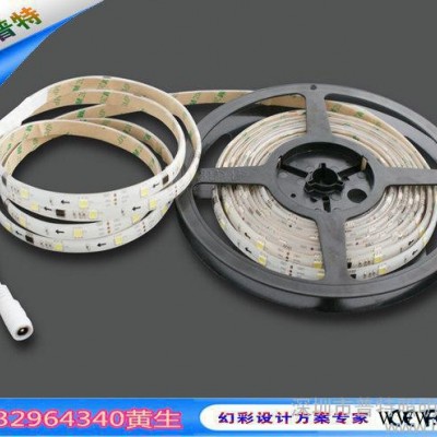 普特-幻彩单白光跑动不防水软灯条XT2812   5050单片机单白流水跑马灯带  深圳单白跑马灯条生产厂家直接接电