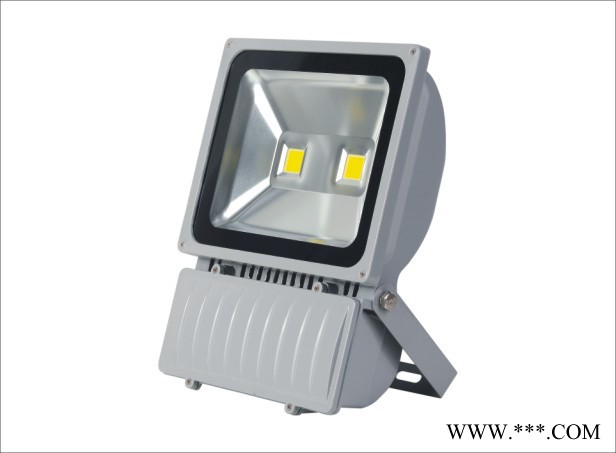 百曜供应led灯 led投光灯 led投射灯 led灯 LED水底灯  LED水底灯LED水底灯图2