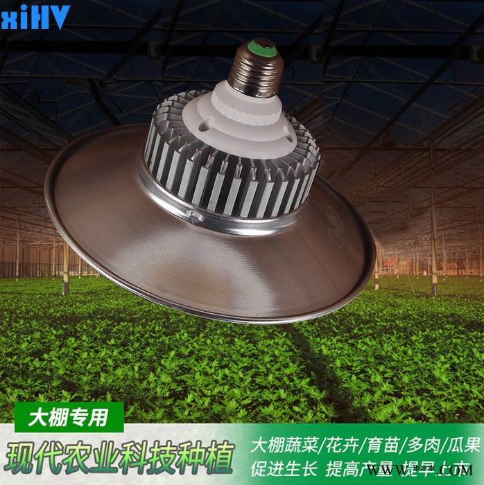 鑫航微 XIV-50W-36 植物生长灯 大棚种植补光工矿灯图1