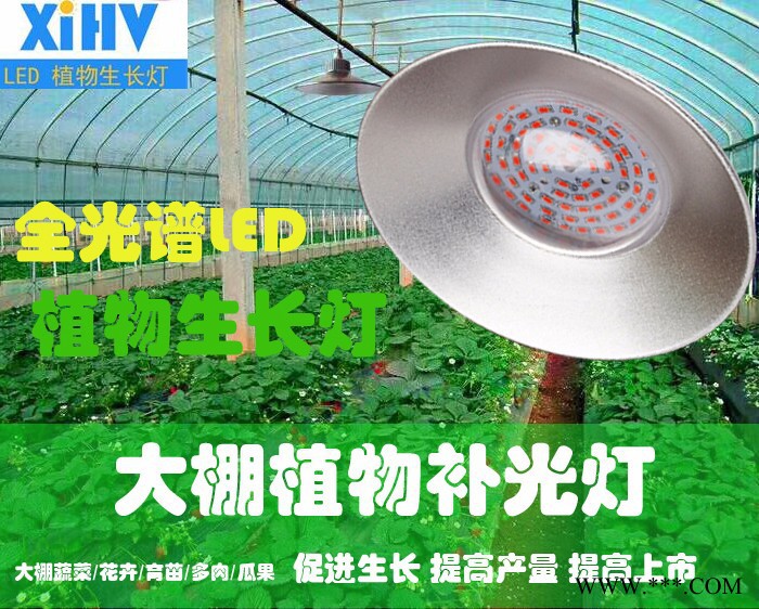鑫航微 XIV-50W-36 植物生长灯 大棚种植补光工矿灯图2