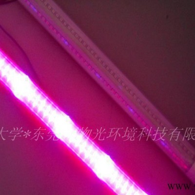 植物补光灯,led日光灯,北京日光灯,t81补光灯,北京厂家**包邮T8