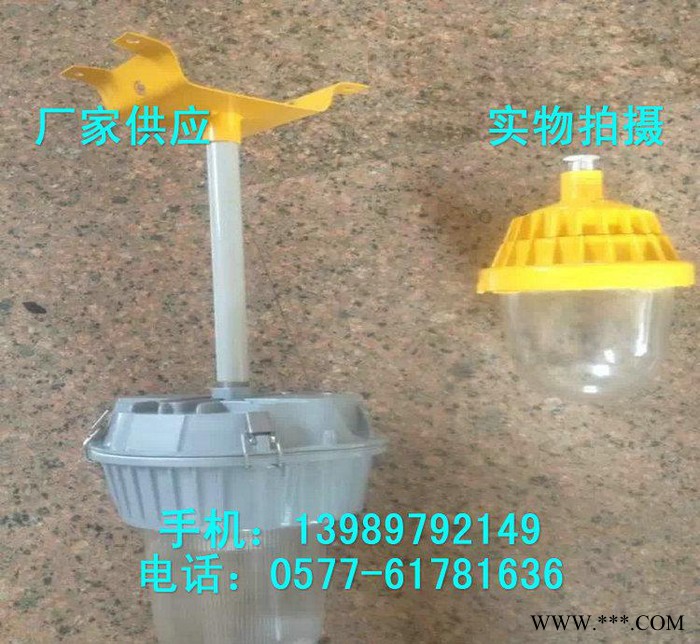 工矿灯 FAD-T-L100b1Z防水防尘灯 防眩金卤灯 防