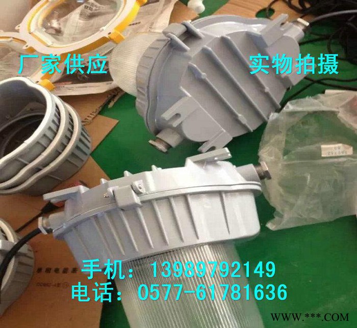 工矿灯 FAD-T-L100b1Z防水防尘灯 防眩金卤灯 防图2
