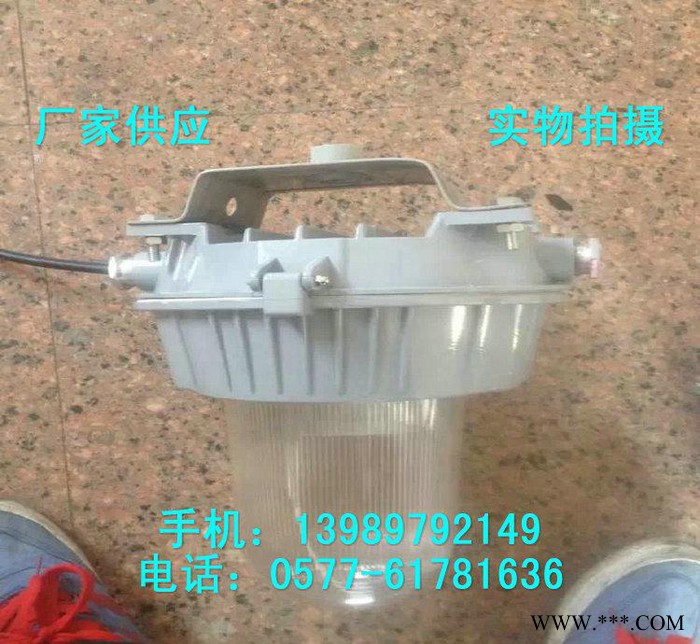 工矿灯 FAD-T-L100b1Z防水防尘灯 防眩金卤灯 防图3