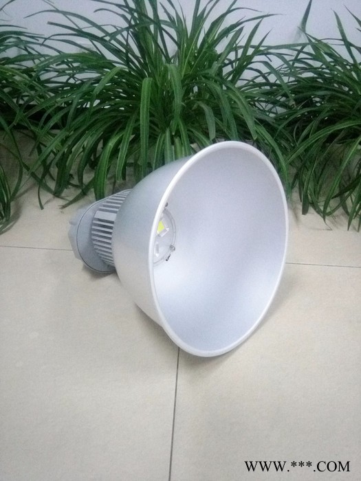 蓝川ZXD-GKD16-100 LED工矿灯图5